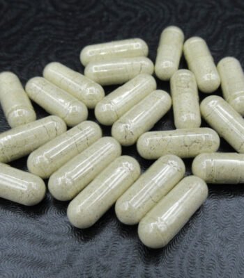 100mg Microdose Mushroom Capsules
