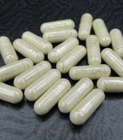 100mg Microdose Mushroom Capsules