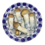 Premium Blue Pulaski Magic Mushrooms