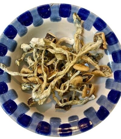 Amazon Magic Mushrooms