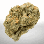 Sensi Star