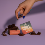 Fun Guy - Chill Mushroom Chocolate Bar | Vegan