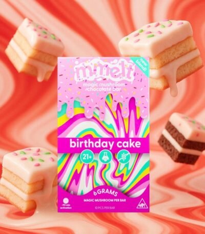 Mmelt Birthday Cake Mushroom Chocolate - 6G