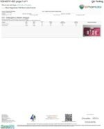 Rize - Shortcake Dream Megadose Mushroom Chocolate Bar 12G